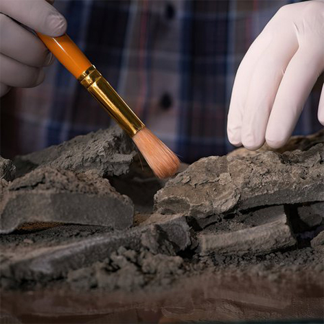 carbon-dating
